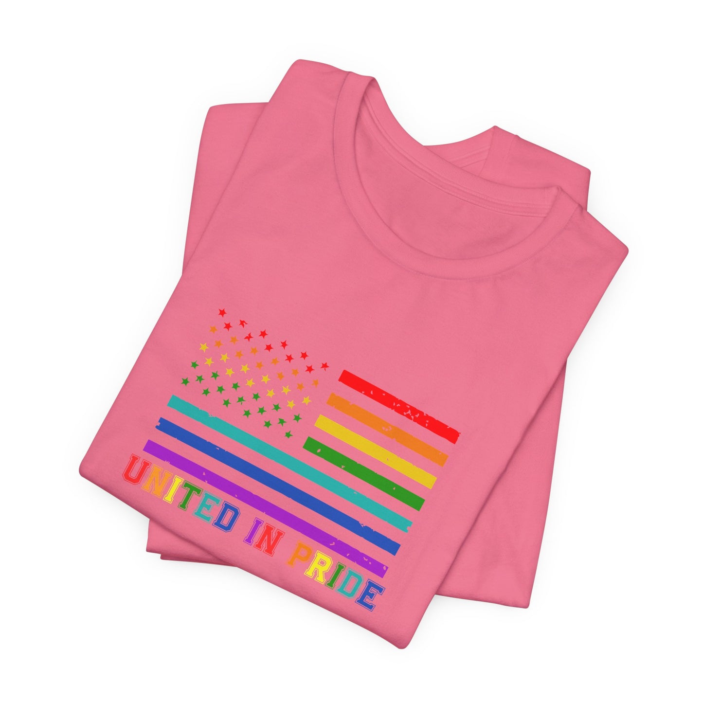 United in Pride Unisex Tee Shirt